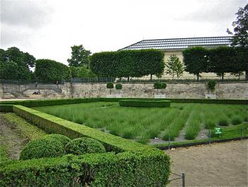 orangerie-Vue-des-jardins.jpg