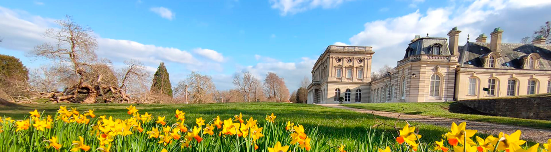 Chateau De Fontainebleau Ile De France Photograph by Panoramic