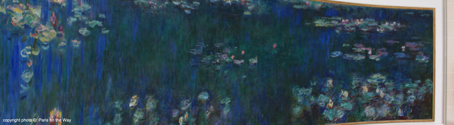 MONET & THE WATERLILIES